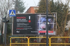 Jeden z bilboardów w Bydgoszczy