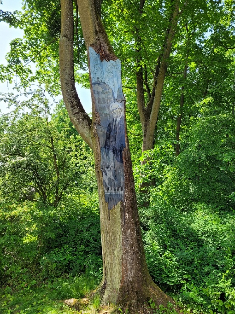 Litewski artysta maluje bydgoskie drzewa tworząc dzieła sztuki