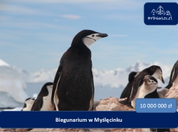 Te zwierzęta oprócz pingwinów miałyby zamieszkać w ,,Biegunarium”