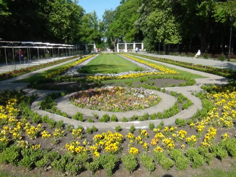 Park Solankowy