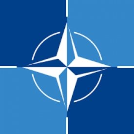 Ostre słowa Macrona o NATO. Odpowiedź Morawieckiego