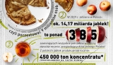 Polska – największy sad w Europie