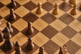 Przyzwoitość nakazuje, abyśmy ponad podziałami zbojkotowali szachowe mistrzostwa