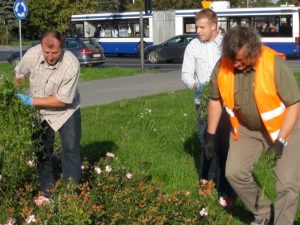 8bd452a553c35083d5b88caa23593528