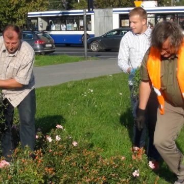 Kandydat Dombrowicza: Skoro chce się zabić – droga wolna