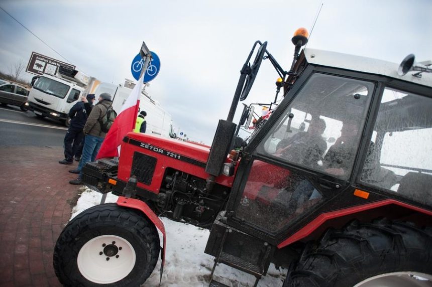 Pomimo embarga produkcja wieprzowiny wzrasta