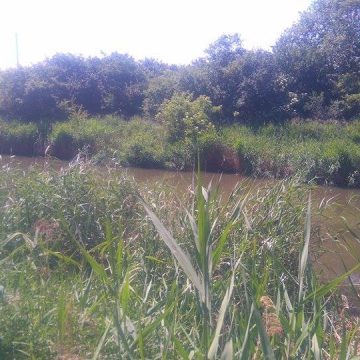 299d05d703691f17d2f061a06bf1f93c Brejza liczy na dalsze udrażnianie Noteci