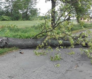 Fot: MojaKruszwica.pl