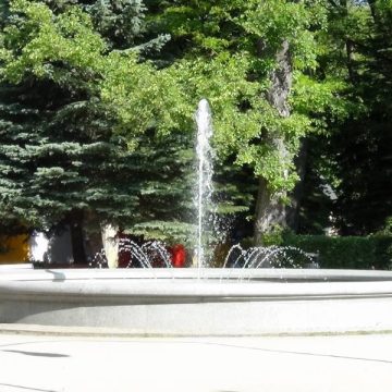 1273cbae313dc48ba69b31dc9623e785 W Solankach znaleziono martwe ptaki. To raczej nie ptasia grypa