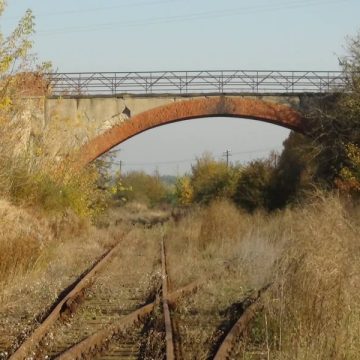 Archiwum - Fot-Kol w 2012 r.