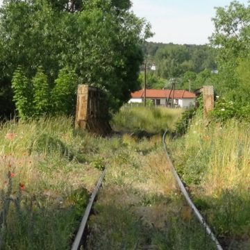 Kolejarze muszą linię nr 356 traktować poważnie, skoro zlecają wycinkę drzew