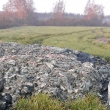 Odpady z ,,Czajki” trafiały na Kujawy, ale nie były zakopywane