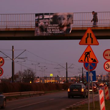 Organizacje prozwierzęce banerami przypomniały o nieuregulowanej sprawie zwierząt futerkowych