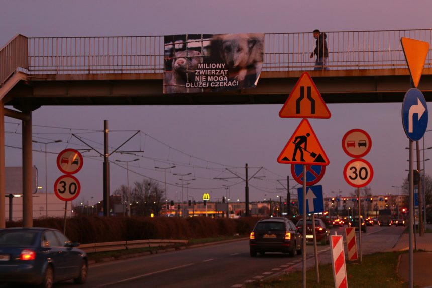 Organizacje prozwierzęce banerami przypomniały o nieuregulowanej sprawie zwierząt futerkowych