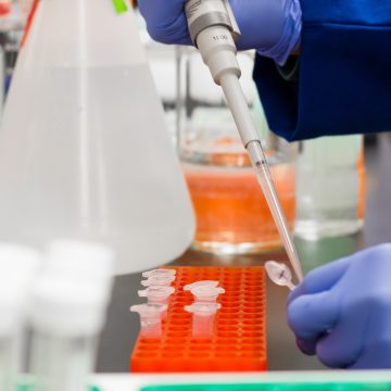 Fot: Martin Lopez Fot: Martin Lopez