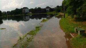 Fot: Bogusław Białas