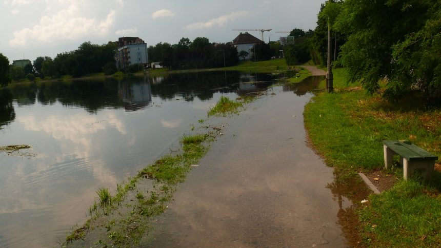 Fot: Bogusław Białas