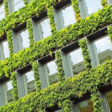 45d31aa1850b6386b684adad784fa0ad Budynki ratusza i Miejskiego Centrum Kultury będą zarastać zielenią