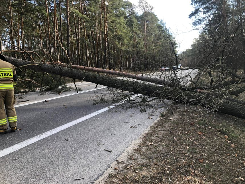 Fot: OSP Dąbrowa Chełmińska