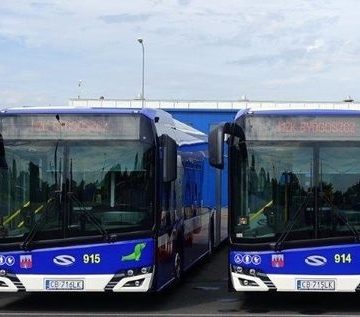 Ratusz rozważa pełne otwarcie na prywatnych przewoźników autobusowych