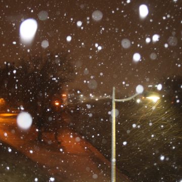 Fot: Bogusław Białas