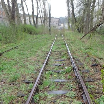 Fot: Bogusław Białas