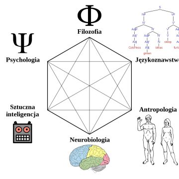 9df0432630859a1fe9140cb61525ec6d UKW otwiera przyszłościowy kierunek