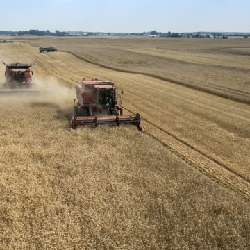 Przegląd zagraniczny: Gdzie w Europie przybywa najwięcej ukraińskich uchodźców