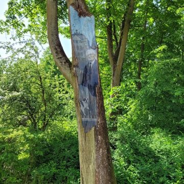 Fot: Jarosław Pijarowski Fot: Jarosław Pijarowski