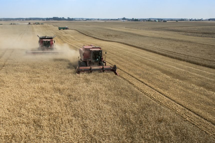 Kujawsko-pomorskie ma największe problemy z suszą w rolnictwie