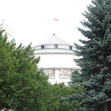 Znaczny wzrost poparcia dla Konfederacji może być wyrazem niezadowolenia Polaków klasą polityczną (komentarz)