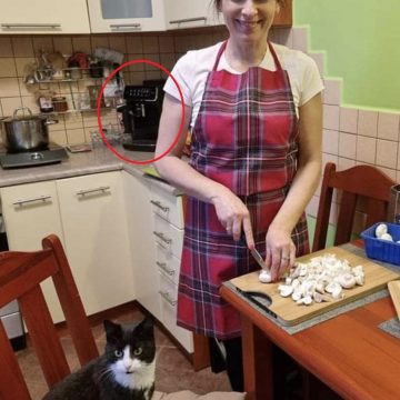 d136f84411ec80d18094d772002bfee4 Kolejny zbieg okoliczności dotyczący zakupów biura posłanki Kozaneckiej