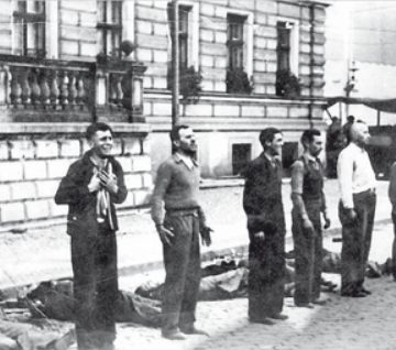 Powiązany z AFD portal coraz ostrzej gra bydgoską kartą (uwaga na drastyczne zdjęcie)