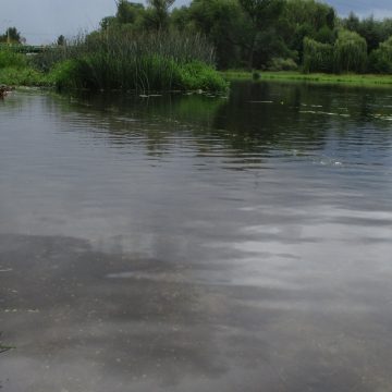 Fot: Bogusław Białas Fot: Bogusław Białas