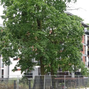 Kiedyś było tam ściernisko i dzikie wysypisko. Dzisiaj jedne z ciekawszych apartamentów