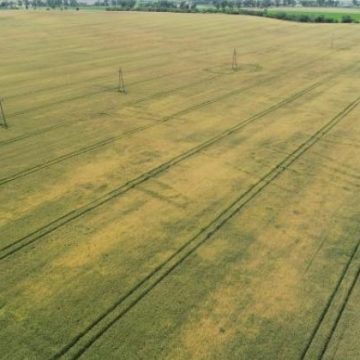 Fot: Michał Jakubczak