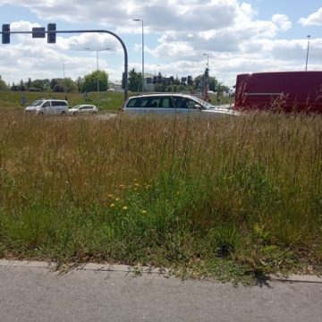 Sierpień w Polsce był jednym z cieplejszych w historii, ale też bardziej wilgotnych