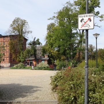 Psy mogą formalnie spacerować po całej Wyspie Młyńskiej. Ratusz prosi właścicieli, aby unikać wchodzenia na trawnik
