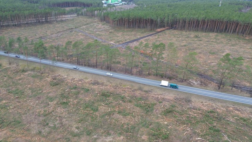 GDDKiA liczy na budowę S10 w 2027 roku pomimo opóźnień ze ZRID. Pod Piłą zauważono gatunek sowy