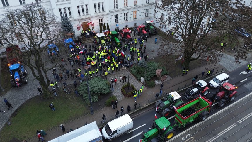 Najpopularniejsze nasze materiały w 2024 roku