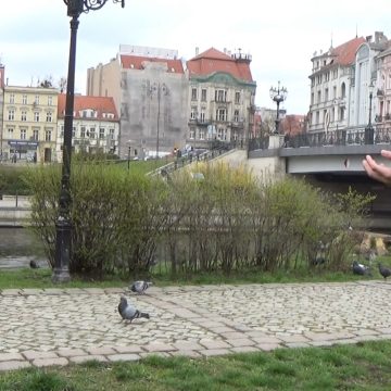 Wicemarszałek województwa nowym prezesem TMMB. Czy w razie czego TMMB będzie wstanie skrytykować marszałka?