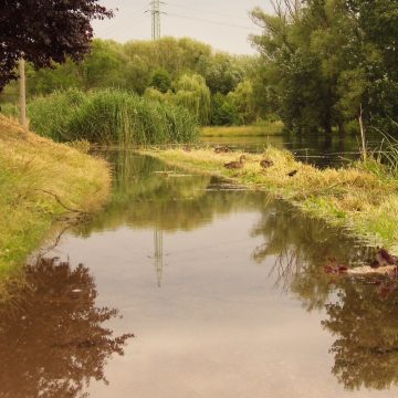 Brda wylała na bulwary. Może mieć to związek z sytuacją pod Chojnicami