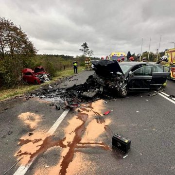 22-latek celowo pojechał na czołówkę? Zdaniem policji tak