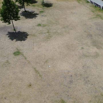 Trawnik na Wyspie Młyńskiej robi złe wrażenie, a już za miesiąc Ster na Bydgoszcz