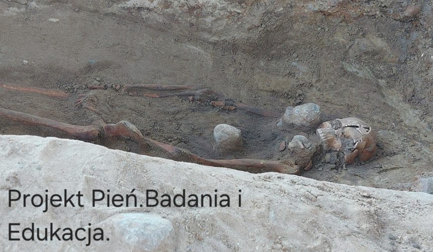 Archeolodzy ponownie pracują w Pniu pod Bydgoszczą. Odnaleziono kolejne groby