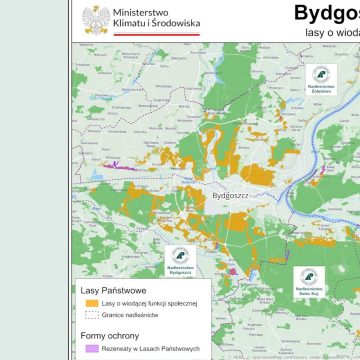 Ministerstwo Klimatu i Środowiska opublikowało mapę lasów społecznych