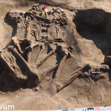 Zanosi się na sensacyjne odkrycie sprzed nawet 10 tys. lat