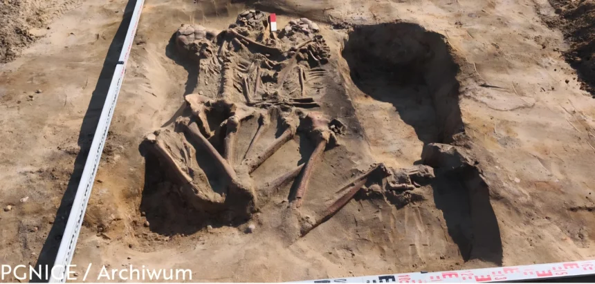 Zanosi się na sensacyjne odkrycie sprzed nawet 10 tys. lat