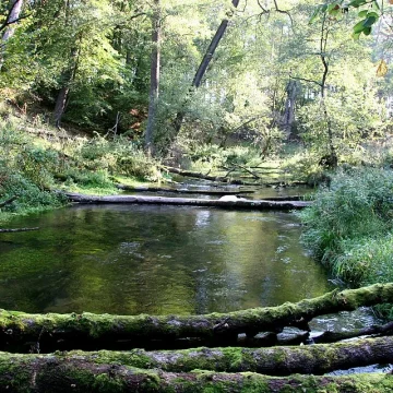 Na północy naszego regionu mamy jedną z najczystszych strug i jezior w Europie