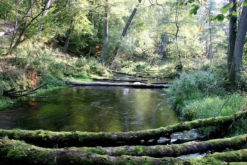 Na północy naszego regionu mamy jedną z najczystszych strug i jezior w Europie